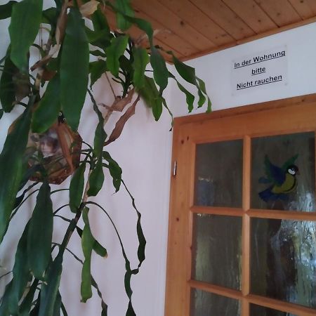Ferienwohnung Steinbauer Opfenbach Zewnętrze zdjęcie